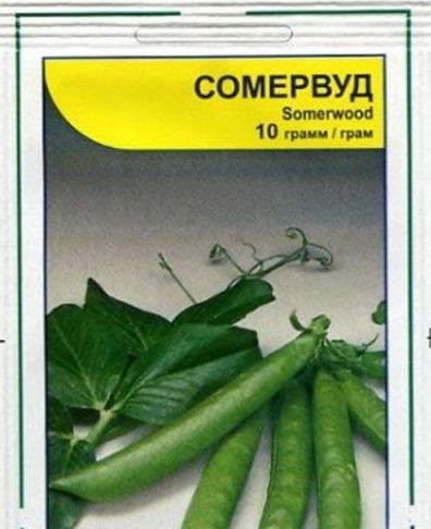 Семена Гороха Сомервуд 10 гр, Syngenta, Голландия Винница - изображение 1
