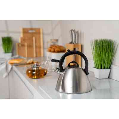 Чайник Ardesto Gemini 2.5 л Grey (AR1948KS) Винница