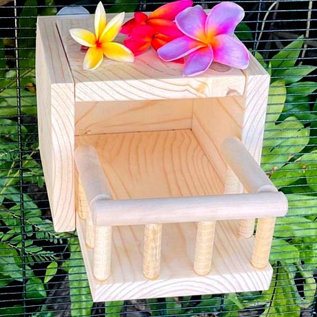 Будиночок для шиншили "Муріка" бланже Миколаїв - фото 1