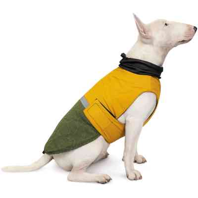 Попона для животных Pet Fashion ROY 6XL хаки-горчица (4823082432806) Винница