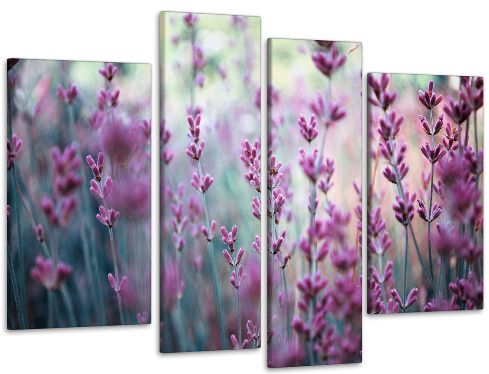 Модульная картина Лаванда (75х118 см) Art-46_4 99x140 см Киев - изображение 1