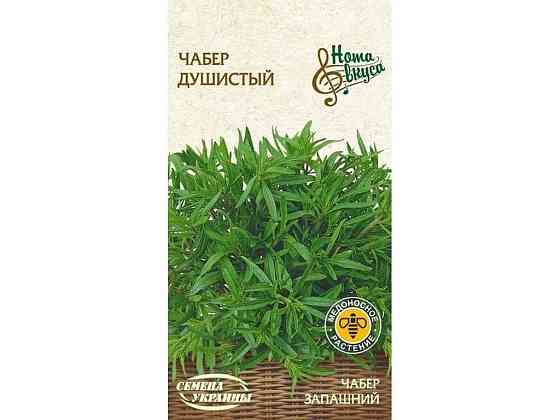 Чабер Запашний НВ 0,5 г (20 пачок) ТМ СЕМЕНА УКРАЇНИ Київ