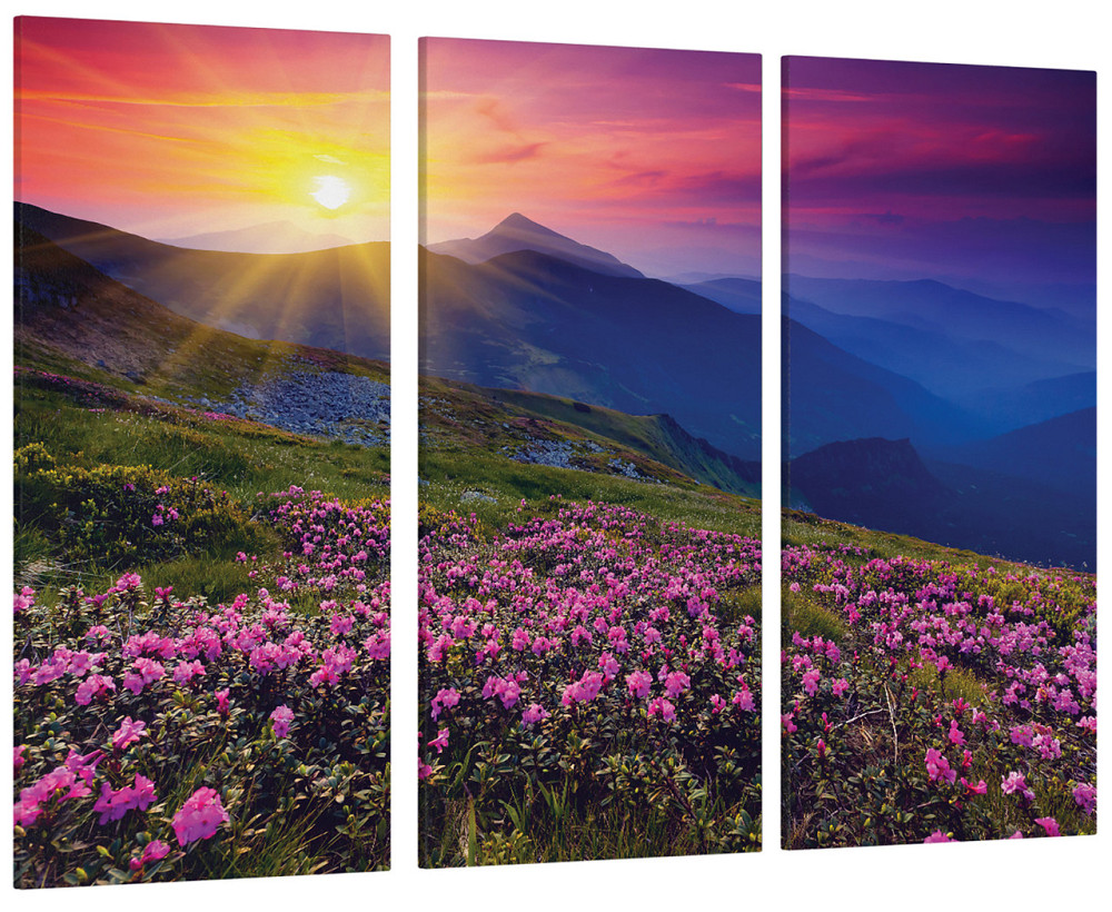 Модульная картина Природа Горы Art-62_XXL 53x100 см Киев - изображение 1