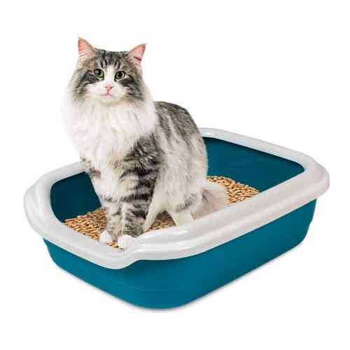 Туалет Природа «Comfort L» для кошек, 49х39х15 см (ультрамарин) Винница