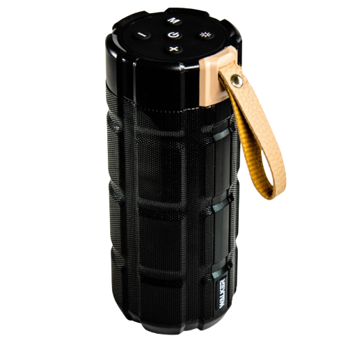 Портативна колонка 10W чорна WALKER WSP-170 Житомир