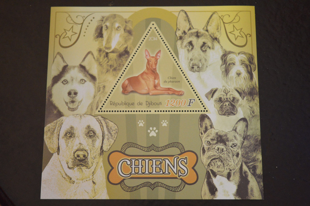 Джибути. Фауна. Блок. 2015 год (В-6) Полтава - изображение 1