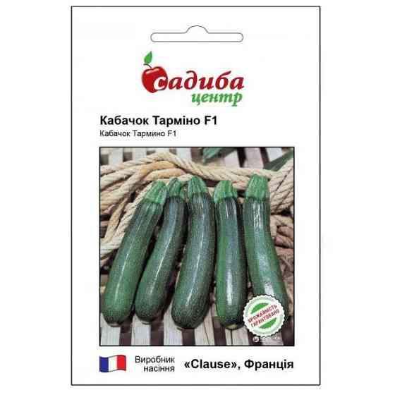 Семена Кабачка Тармино F1 10 сем., Clause, Голландия Винница