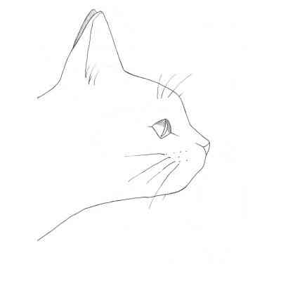 Книга #girls #fashion #cats Жорж (9786177579204) Вінниця