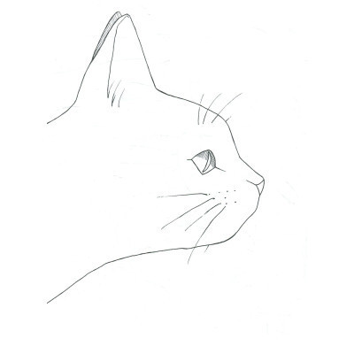 Книга #girls #fashion #cats Жорж (9786177579204) Вінниця - фото 6