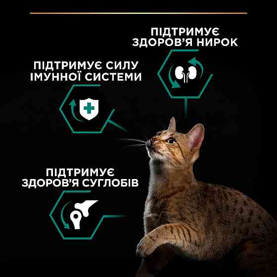 Сухой корм PRO PLAN Adult 1+ Renal Plus для взрослых кошек, с курицей, 1.5 кг Киев