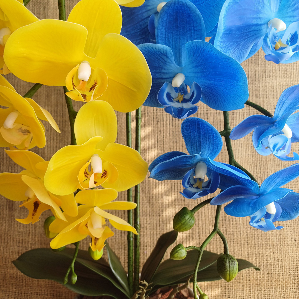Штучна латексна орхідея VIP на дві гілки жовто-блакитна Дніпро - фото 2