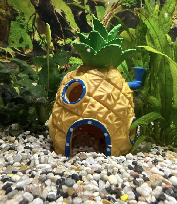 Декор для акваріума Будинок Губки Боба 13 на 7,5 на 7,5 см жовтий Київ - фото 5