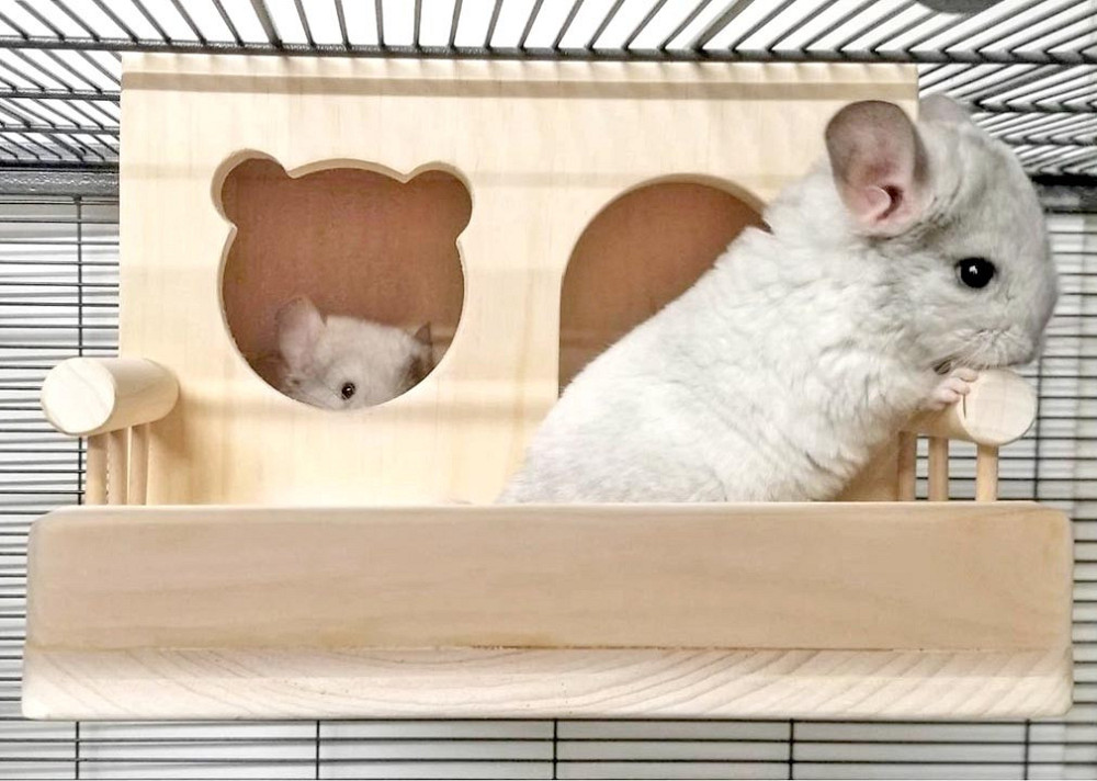 Будиночок для шиншили "Каріда" бланже Миколаїв - фото 3