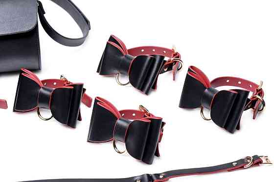 Набір БДСМ з дорожньою сумкою Master Series: Bow — Luxury BDSM Set With Travel Bag, 11 предметів Sex Aura Київ