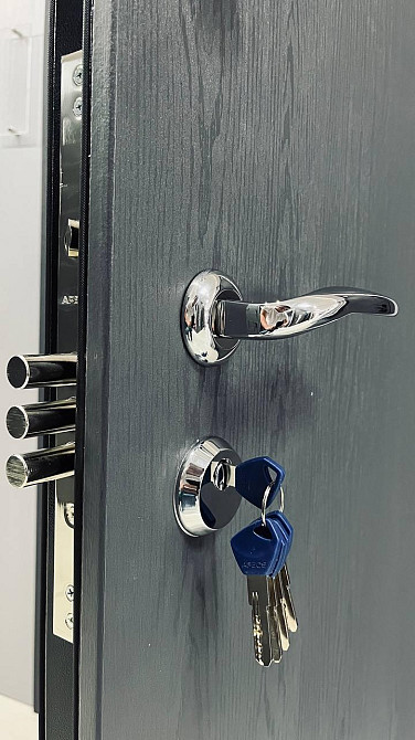 Вхідні двері ТАРІМУС Дверна Індустрія "Надійна" 960 Київ - фото 5