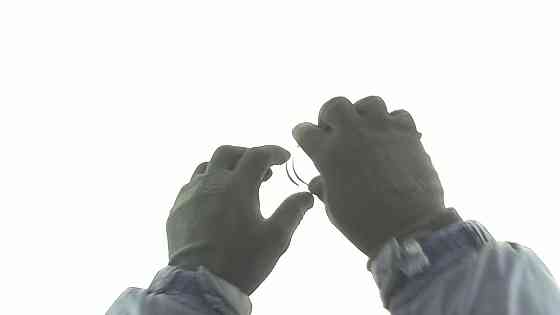 Кольца Хонда DIO 62 .S (Ø43,00) ST Мукачево