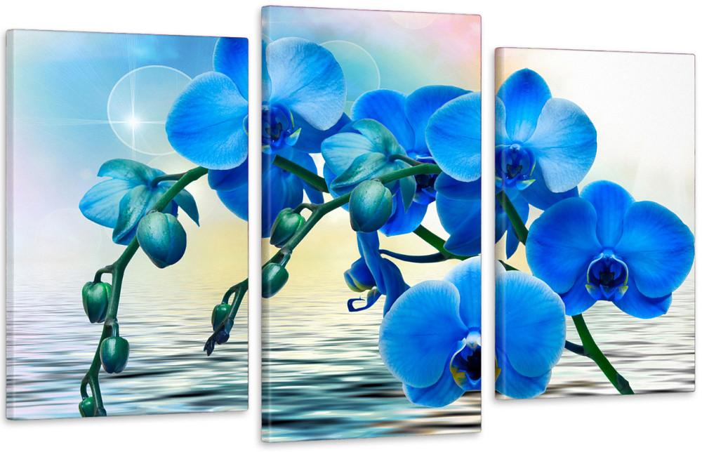 Модульная картина в гостиную / спальню Синя Орхідея Art-625_3 Киев - изображение 1