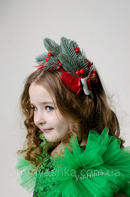 Обруч обідок Ялинка №4 Хвойна Кривий Ріг - фото 6