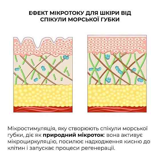 Набір для ліфтингу та відновлення пружності шкіри обличчя Hillary Face Lifting & Firming Set Київ