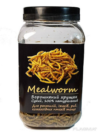 Мучний черв'як сухий "Mealworm" тм Буся. Корм для рептилій, птахів, їжаків, гризунів 600 мл/100г Зміїв - фото 1