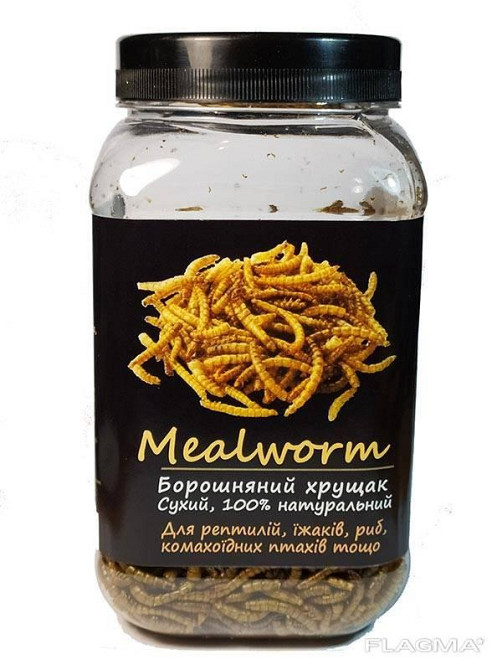 Мучной червь сухой 