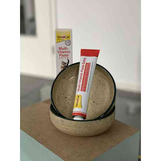 Мультивітамінна паста GimCat Every Day Extra для котів, 100 г Вінниця