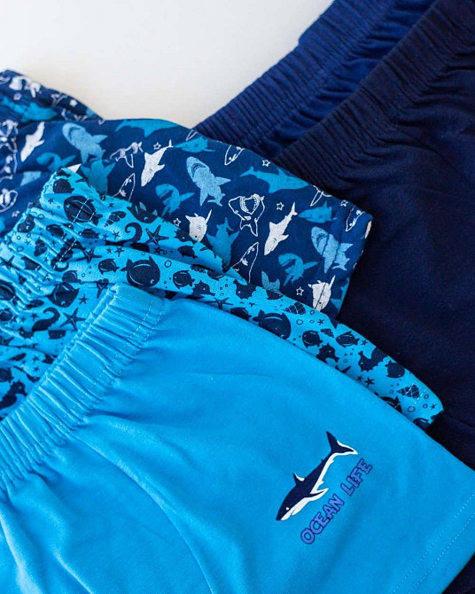 Набір підліткових боксерів на хлопчика з 5 шт. Tom John 541305 8-9 Київ - фото 4