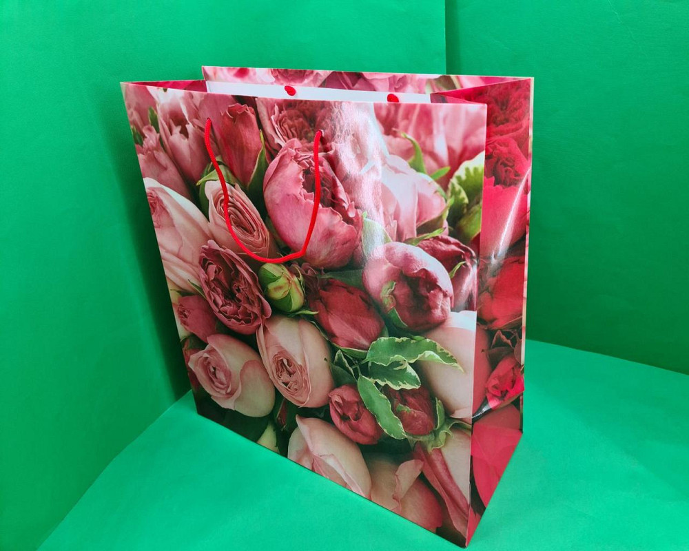 Пакет бумажный Супер 47x52x20(артS-020) (12 шт) Харьков - изображение 1