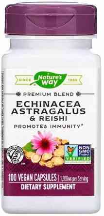 Ехінацея, астрагал і рейші Nature's Way Echinacea Astragalus & Reishi 100 капсул Київ