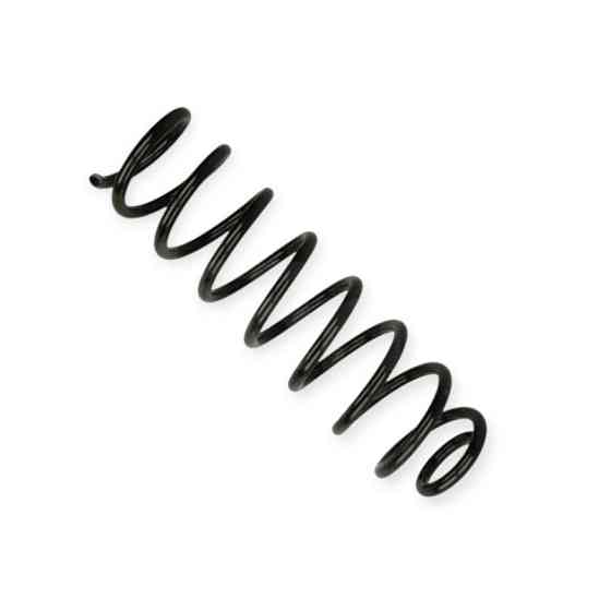 Пружина Renault Megane II (02-08) задняя Мукачево