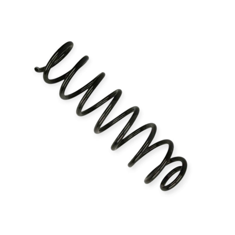 Пружина Renault Megane II (02-08) задняя Мукачево - изображение 1