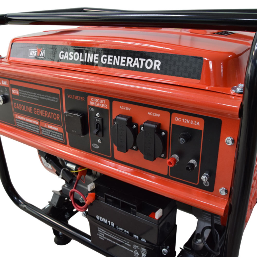 Бензиновий + газовий генератор BISON BS6500LE максимальна потужність 5 кВт / 5.5 кВт Киев - изображение 9