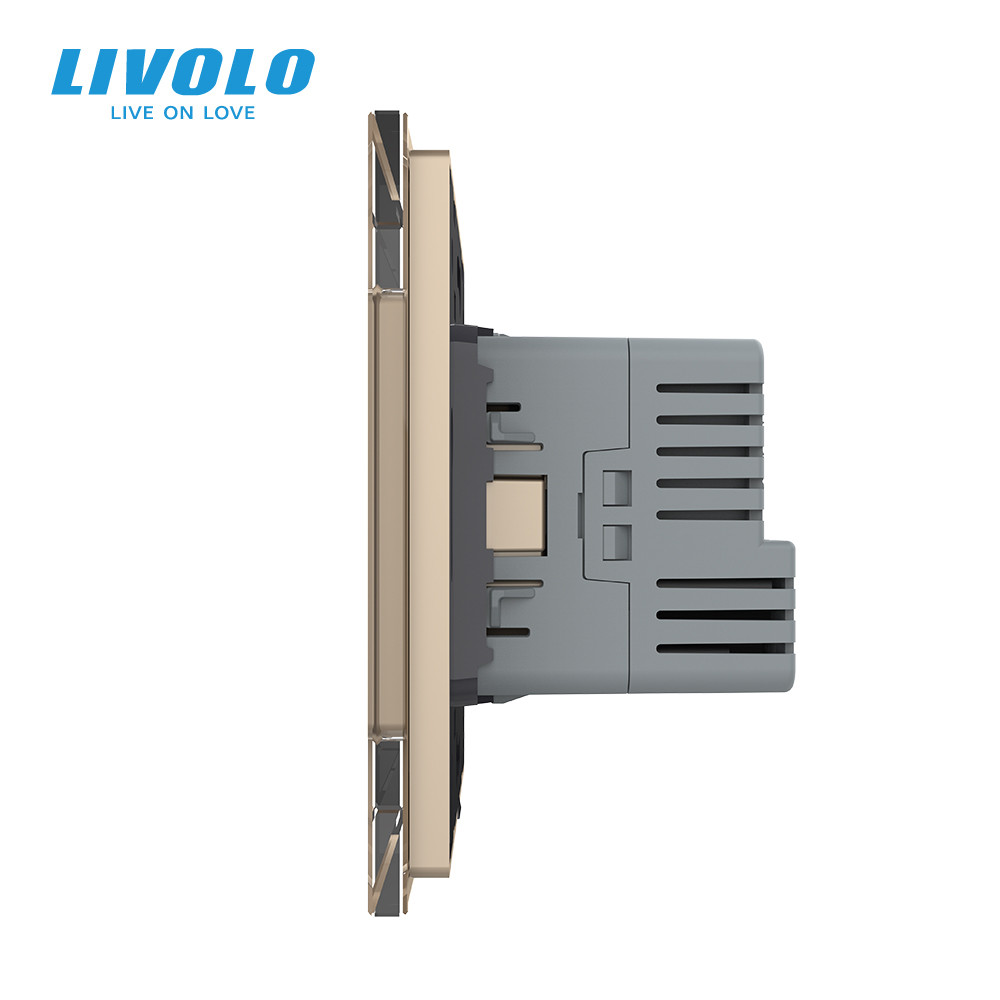 LIVOLO Електрична розетка з USB Type-C 18Вт для зарядки, з заземленням, LIVOLO, золота, скляна Коломия - фото 10