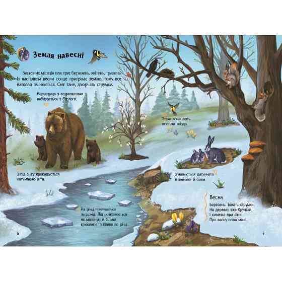 Енциклопедія дошкільника "Наша планета" 614020 для найменших Вінниця
