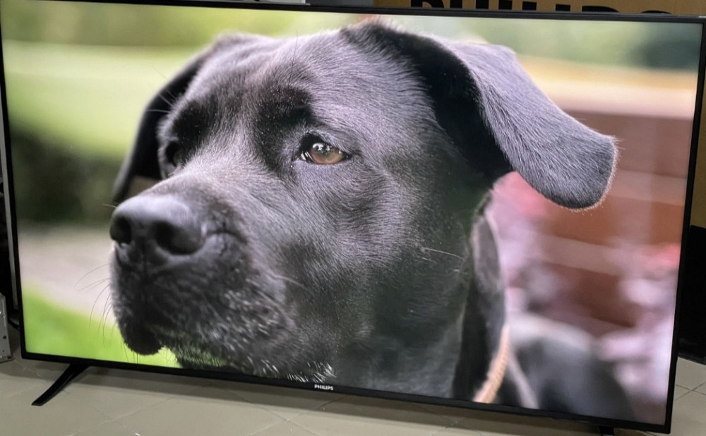 Телевізор Philips 75 Professional 4K TV Київ - фото 7