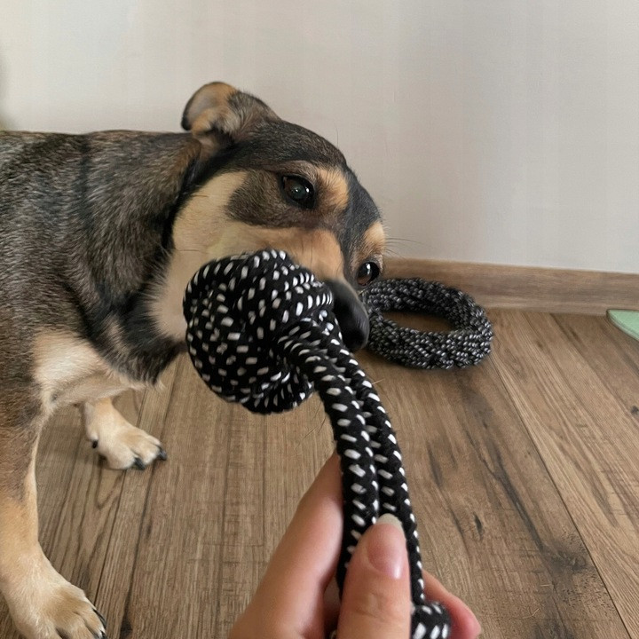 Набор игрушек для собак 10 предметов для обучения и для развлечения Purlov (24388) Нововолынск - изображение 8