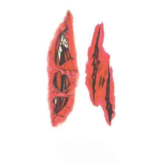 Тату наклейки для Хелловіну на тіло 10 на 6 см червоно-чорний Київ