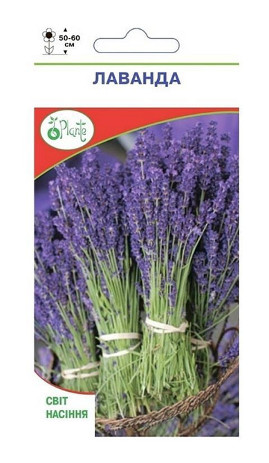 Насіння Лаванда лікарська Київ - фото 1