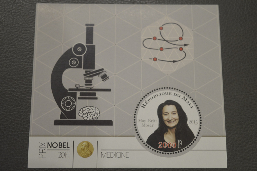 Мали. Личности. Нобелевские лауреаты. Блок. 2015 год (М) Полтава - изображение 1