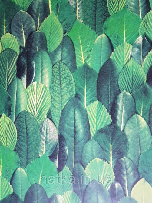 Обои виниловые на флизелине Marburg 31735 Imagine листья зеленые салатовые Киев - изображение 1