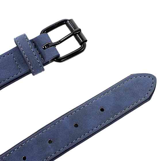 Ошейник двухслойный для собак Hoopet W033 Blue L Киев