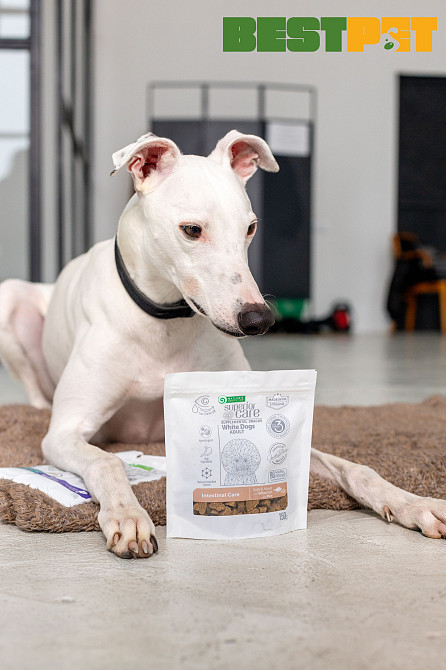 Nature's Protection Superior Care White Dogs Intestinal Care Ласощі для дорослих собак із білим забарвленням з білою рибою та рисом, 150 г Київ - фото 2