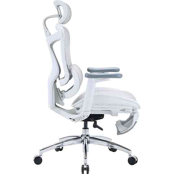 Кресло офисное Sihoo Doro C300L Mesh White with footrest (Doro-C300L-A3-102-JT) ( 14112 ) Харьков