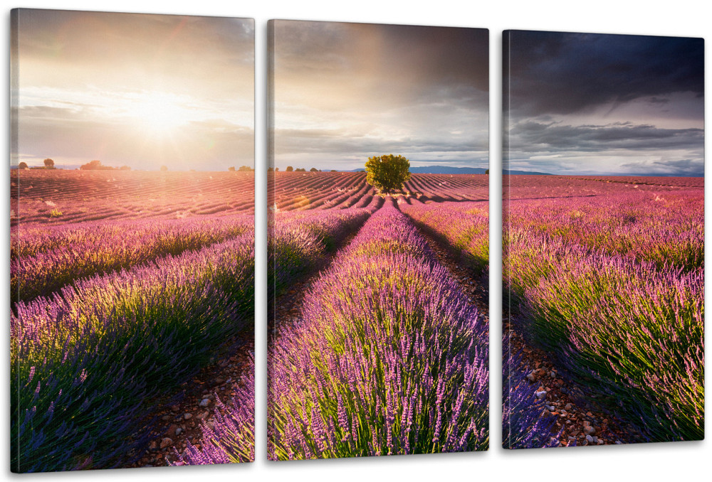 Модульна картина у вітальню/ спальню     Лаванда      ART-058_3A 70х130 см Київ - фото 1