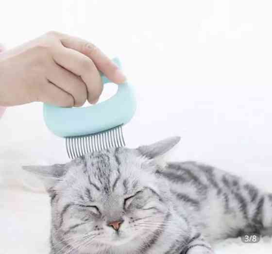 Расческа кошек и собак, щетка для животных, цвет голубой, размер 9*9см Киев
