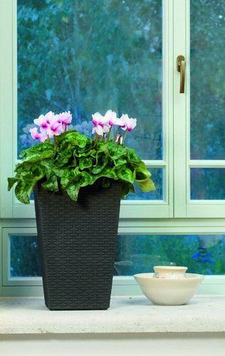 Горшок для растений Keter Rattan Planter S, (small) 23,6 л Киев - изображение 2