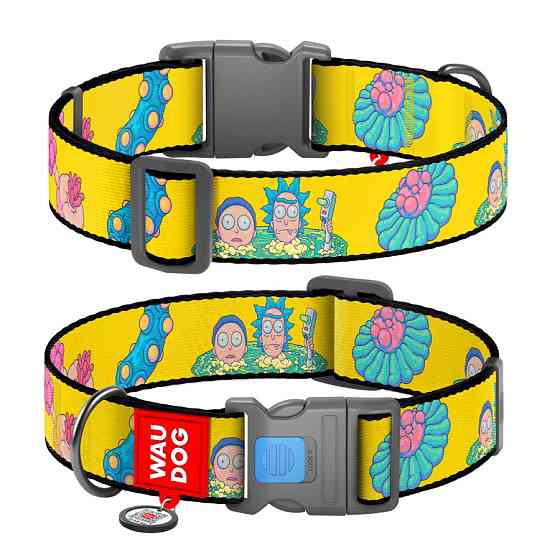 Нашийник для собак нейлоновий WAUDOG Nylon з QR-паспортом, малюнок "Рік і Морті 1", пластиковий фастекс, XXL, Ш Вінниця