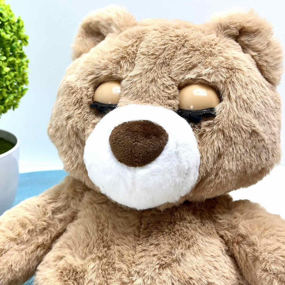 Ведмедик інтерактивний Ведмедик Брауні 7 функцій Коричневий (M 5952 I UA) Чернигов - изображение 10