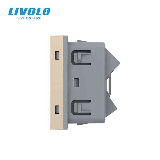 LIVOLO Універсальна розетка LIVOLO 12-в-1, з заземленням і шторками, золота, 16А 250В, модуль ( Київ