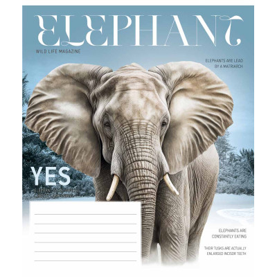 Зошит Школярик Fauna magazine 18 аркушів клітинка (018-3428K) Вінниця - фото 3